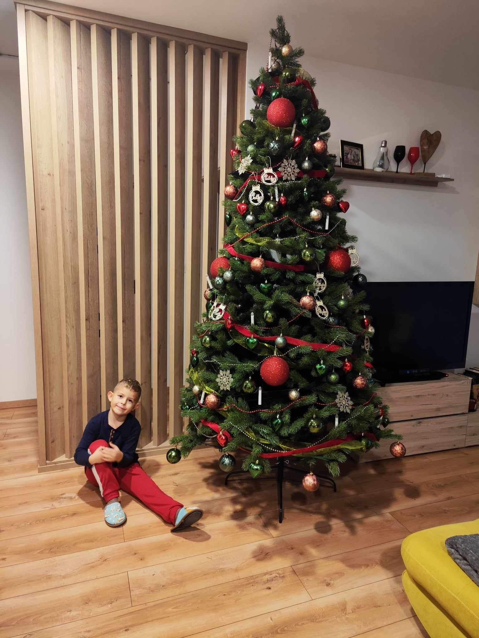 220cm Jedľa Kaukazská Full 3D – Obrázok 4