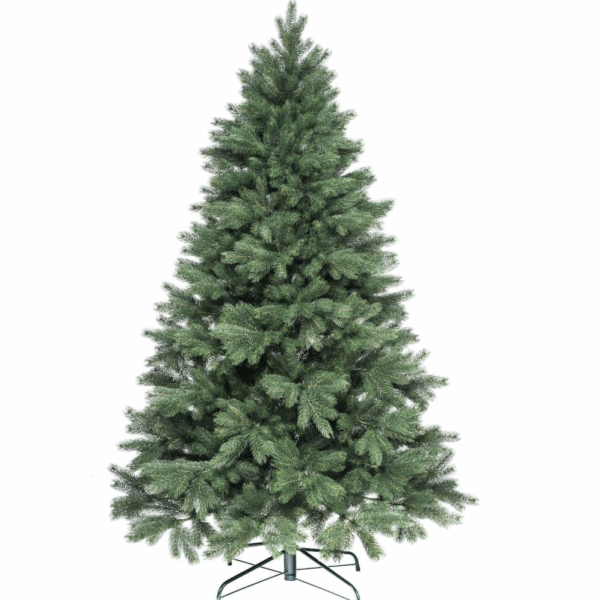 250cm Jedľa Kaukazská Full 3D