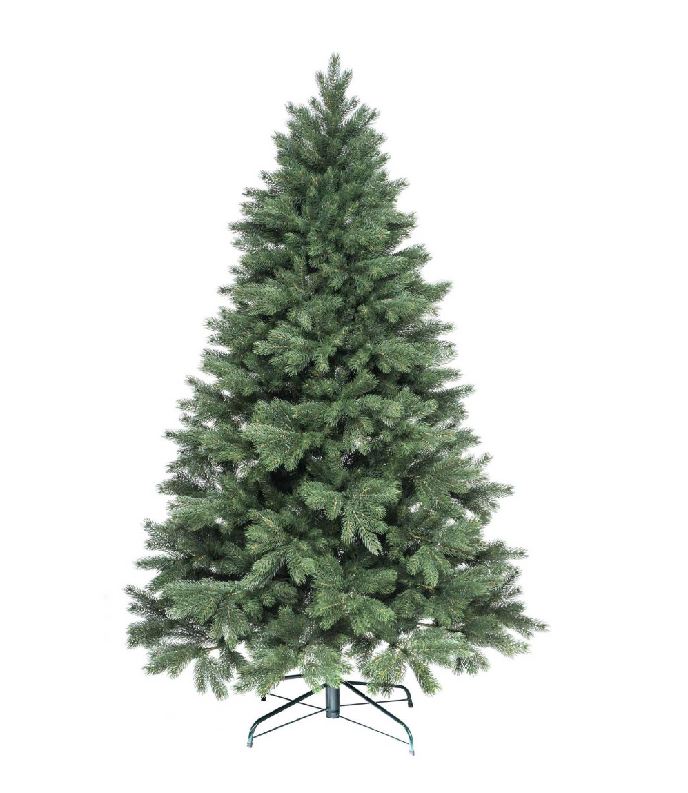 250cm Jedľa Kaukazská Full 3D