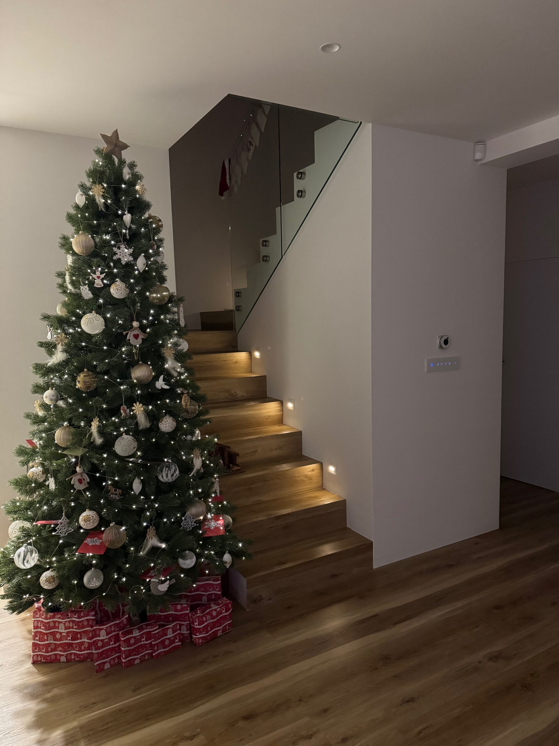 250cm Jedľa Kaukazská Full 3D – Obrázok 3